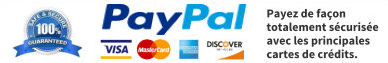 footer paypal